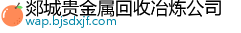 郯城贵金属回收冶炼公司